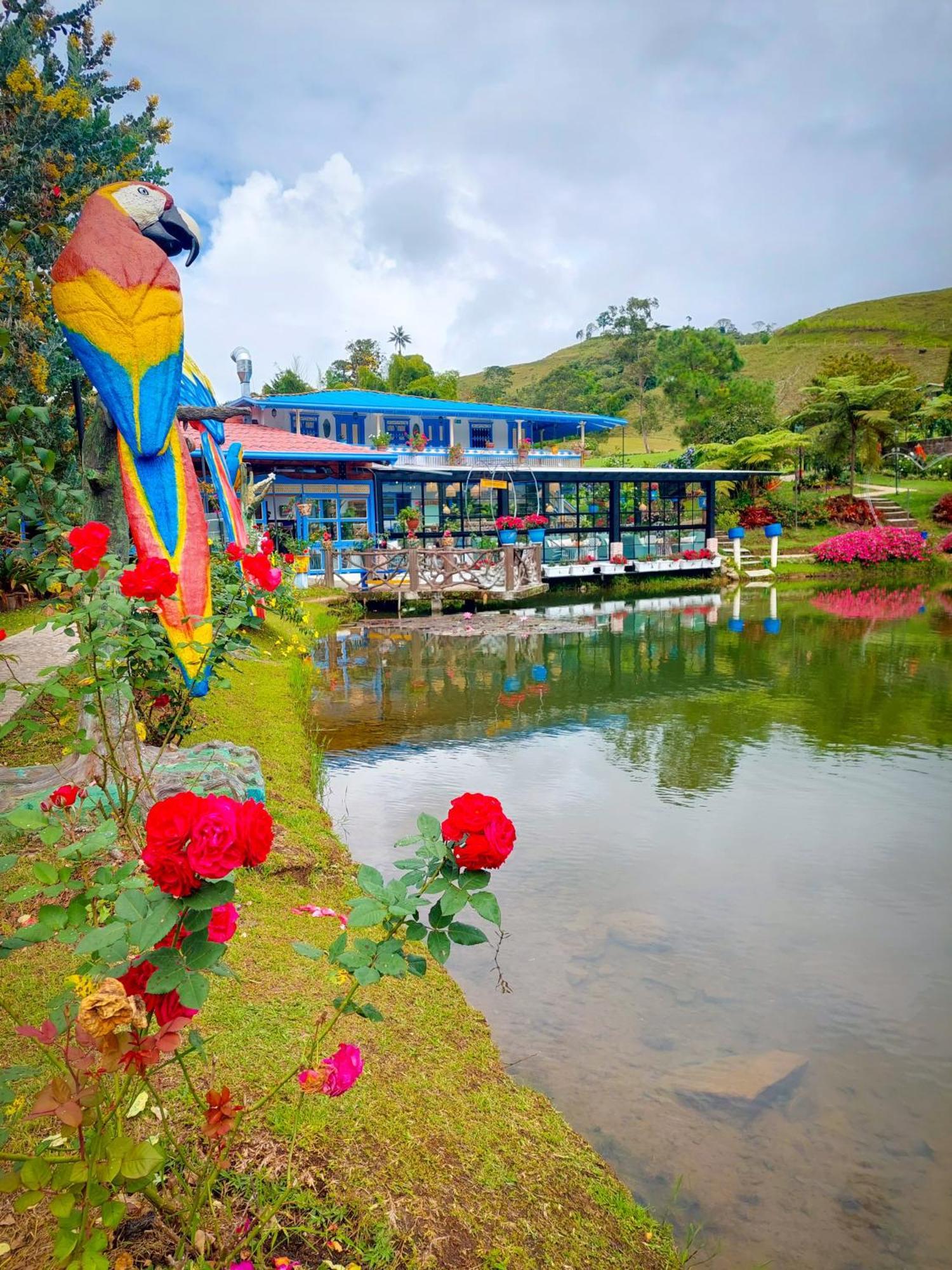 Hotel Lago Valdivia Jardin Exterior photo